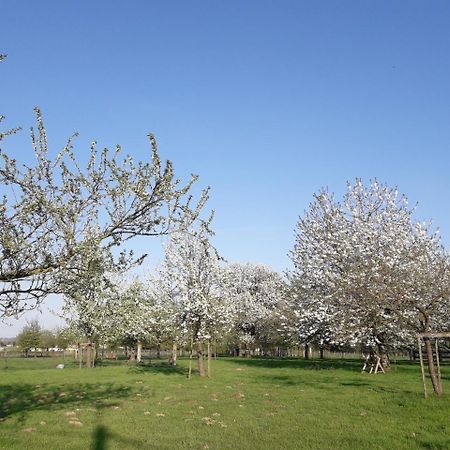 Haaltert B&B Mussenzele מראה חיצוני תמונה