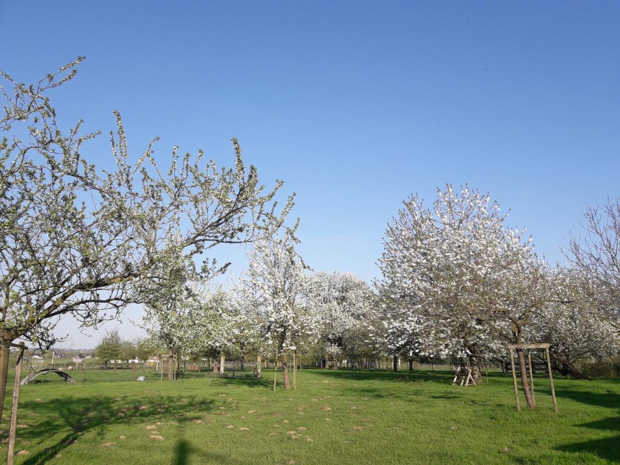 Haaltert B&B Mussenzele מראה חיצוני תמונה